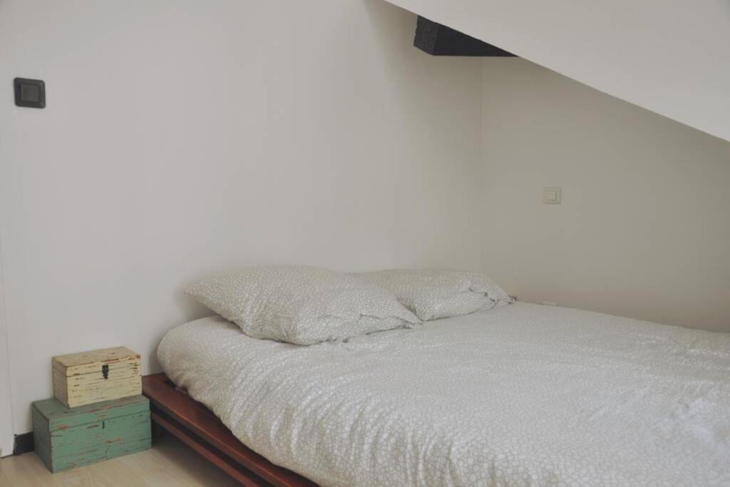 Duplex Avec Belle Terasse Au Centre De Bayonne Apartman Kültér fotó